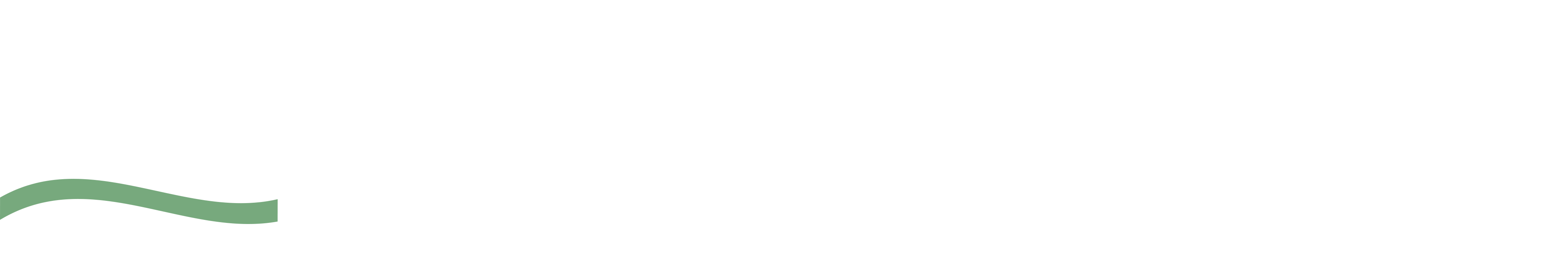 Arise Church South Lake